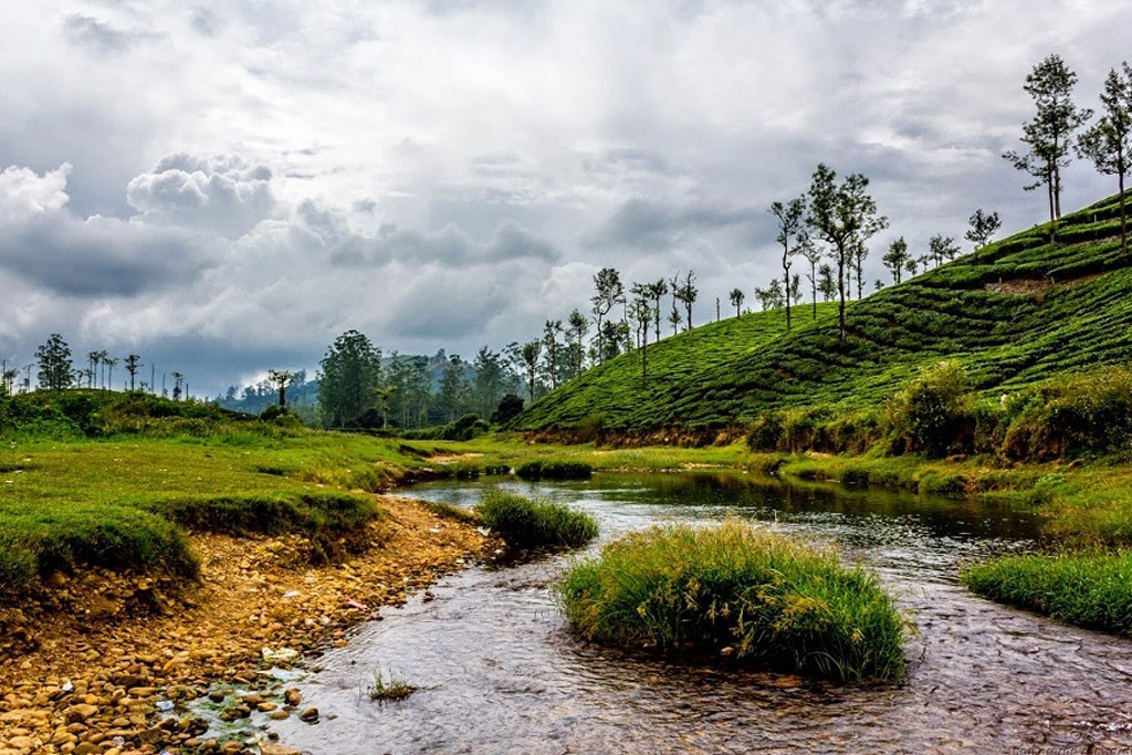 Topslip, Parambikulam & Valparai Tour Packages - Grass Hills Holidays